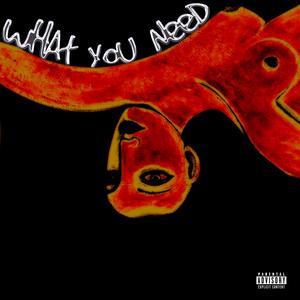 What You Need (feat. T1mmy & Kid Kwesi) (Explicit)