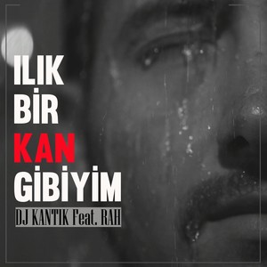 Ilık Bir Kan Gibiyim