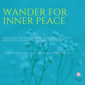 Rainy Mood (Original Mix)