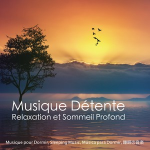 Musique Détente - Relaxation et Sommeil Profond - Musique pour Dormir, Sleeping Music, Música para Dormir, 睡眠の音楽