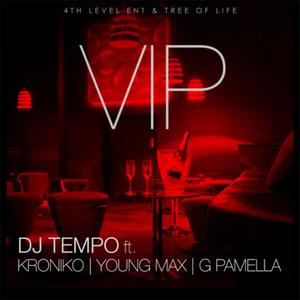 VIP (feat. Bizarro Bizz, Young Max & G' Pamella) [Explicit]