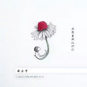 我想重新认识你