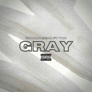 Gray(feat. Tod) (Explicit)