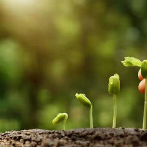 我还是那个少年  伴奏