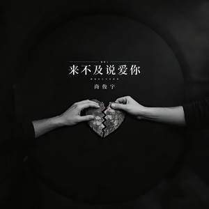 来不及说爱你伴奏 (伴奏)