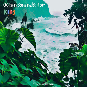 Rowing With Seagulls