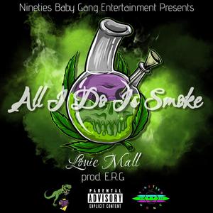 All I Do Is Smoke (Explicit)