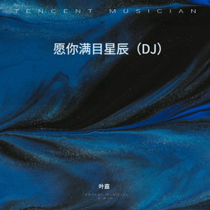 愿你满目星辰 (DJ版伴奏)