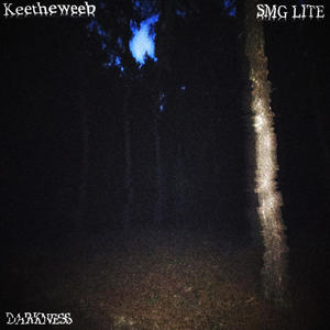 Darkness (feat. Keetheweeb) (Explicit)