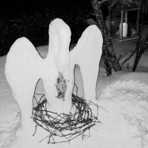 NS (feat. arkko) (Explicit)