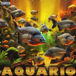 AQUARIO (Explicit)