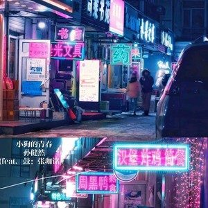 狗日的青春
