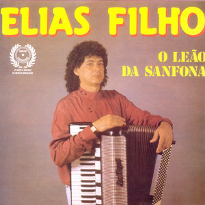 O Leão da Sanfona