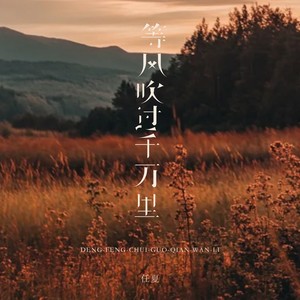 等风吹过千万里