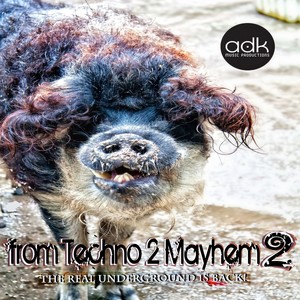 I Wanna Give U the Mayhem