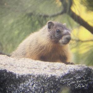 Marmot Song