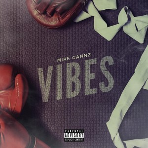 Vibes (Explicit)