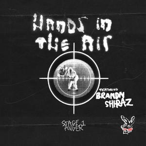 HANDS IN THE AIR (feat. Brandn Shiraz) (Explicit)