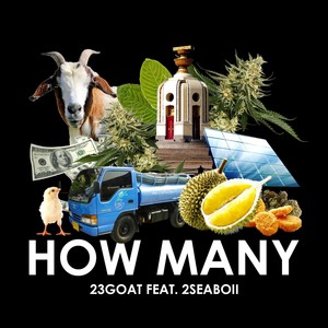 HOW MANY (Explicit)