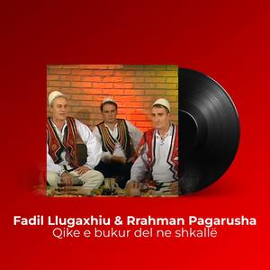 Qike e bukur del ne shkallë