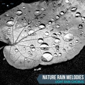 Nature Rain Melodies - Light Rain Chorus