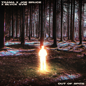 Out Of Spite (Explicit)