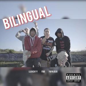 Bilingual (Explicit)