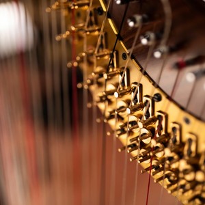 Gentle Strings Enhance Silent Moments