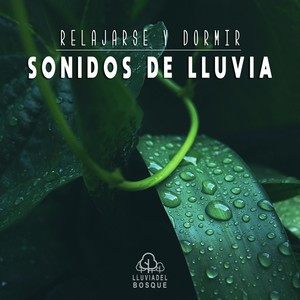 Relajarse y Dormir: Sonidos de Lluvia