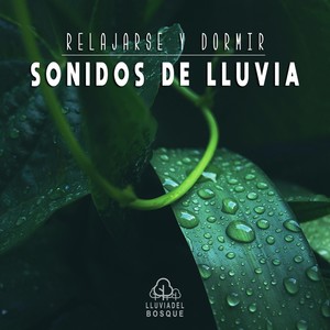Relajarse y Dormir: Sonidos de Lluvia, Pt. 31