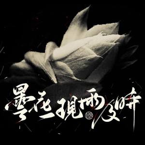 昙花一现雨及时封面