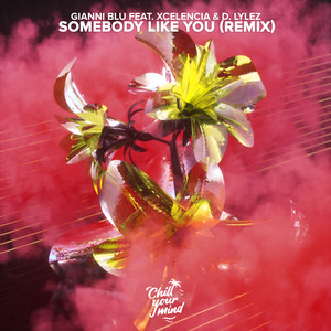 Somebody Like You (Xcelencia Remix)