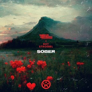 Sober