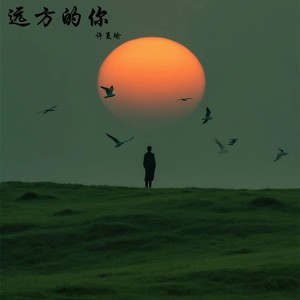 许夏瑜 - 心碎收尾