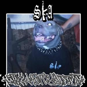 Crushed death (Explicit)