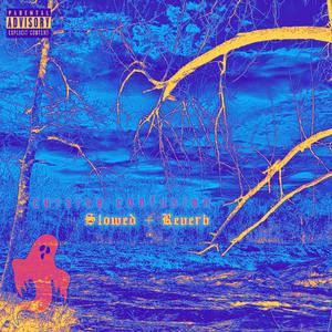 Cursive Confusion (feat. OGTHRAXX) (Slowed + Reverb) (Explicit)