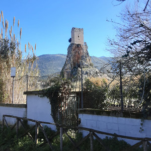 IV. Bourrée anglaise