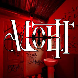 Elle veut (feat. Carter Rs) (Fshady Remix|Explicit)