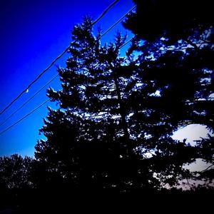 Lost n Love (feat. Mitoriasa) (Explicit)