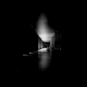 Shadows