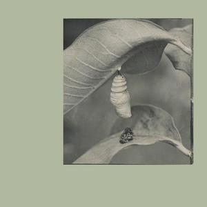 Gemini Elf (Demo With Lyrics)