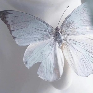 Butterfly (女声版)