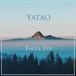 Eagle Eye