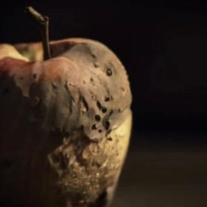 Rotten Apples (Explicit)