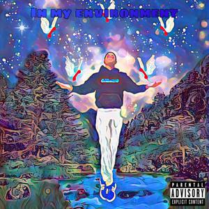 In my Enviornment (Explicit)