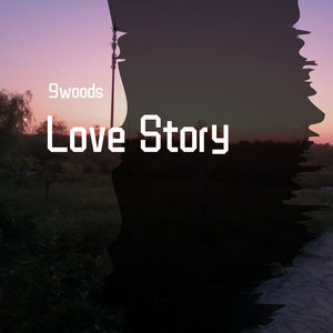 Taylor Swift-Love Story (Remix)