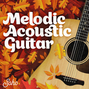 Melodic Acoustic Guitar