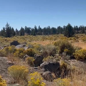 Somewhere Only We Know