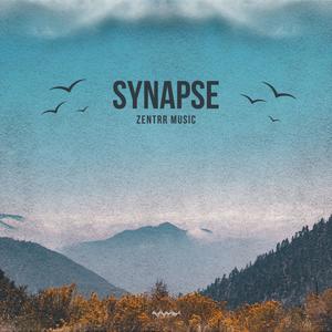 Synapse