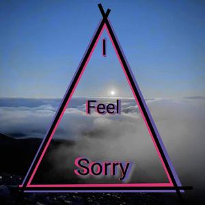 I Feel Sorry (Explicit)